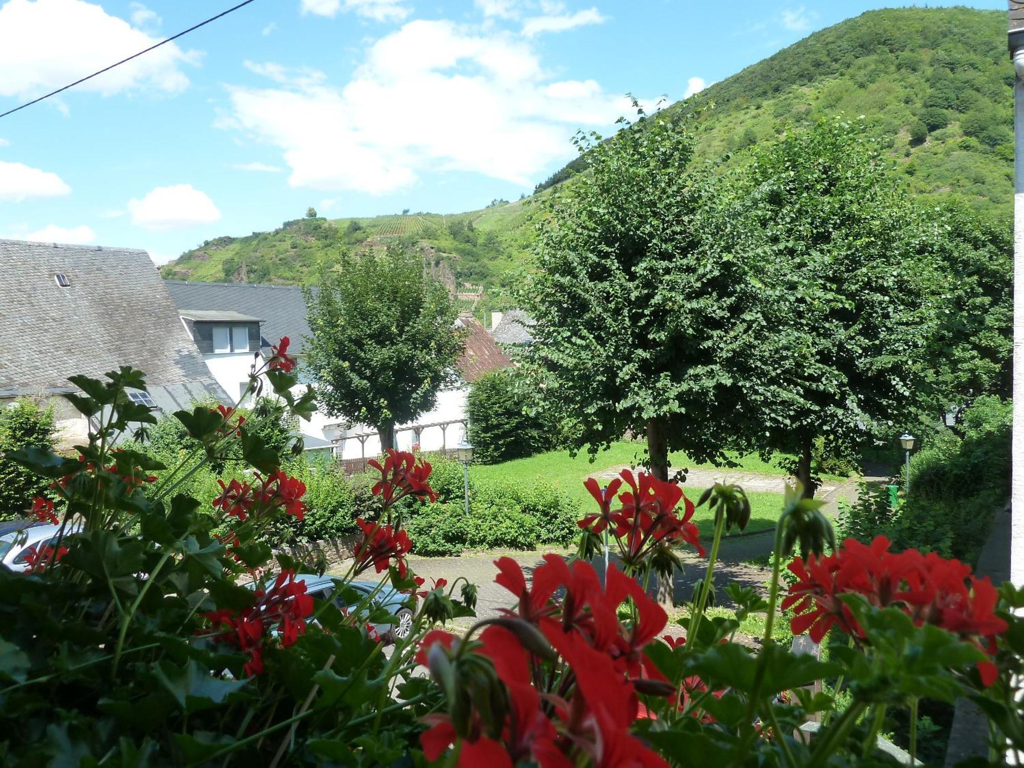 Alte Weinstuben Steinfelder Hof Garni Bed & Breakfast Ellenz-Poltersdorf Luaran gambar