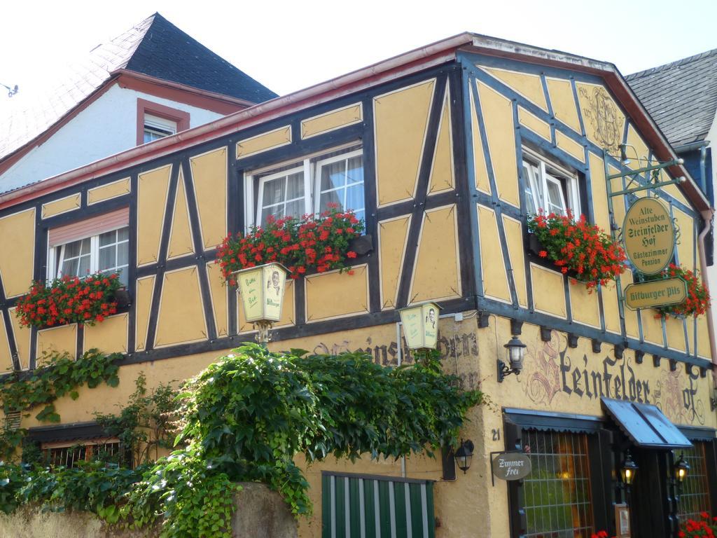 Alte Weinstuben Steinfelder Hof Garni Bed & Breakfast Ellenz-Poltersdorf Luaran gambar